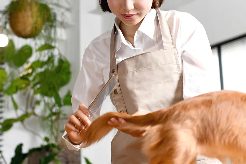 飼い主様の想いに寄り添うスタッフ
