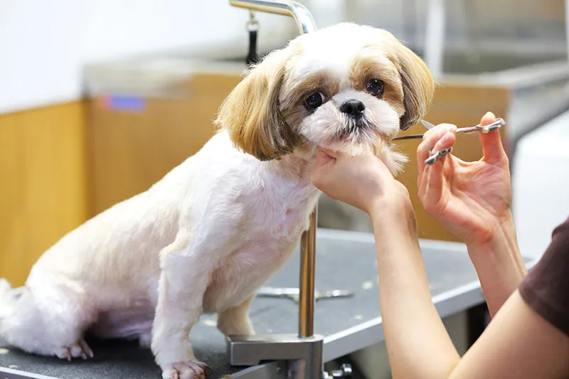 提供しているサービス内容のご案内