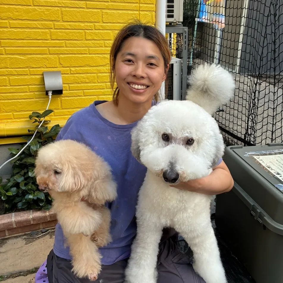 トリミングで大型犬も安心さいたま市西区エリア対応サロン選びと利用のポイント