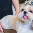 当サロンの特徴