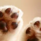 プライバシーポリシー